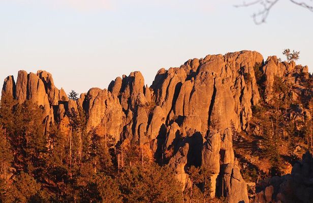 Custer's Wildlife & Night Skies: A Private Tour