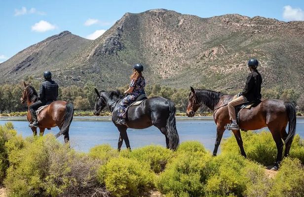 Cape Town Big 5 Safari on Horseback Riding at Aquila Game Reserve