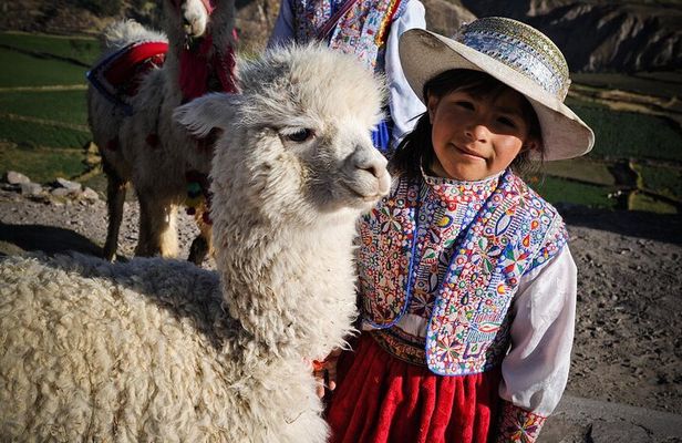 2 Days Colca Canyon Tour