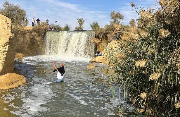 Luxury Tour to Wadi El Hitan & Wadi El Rayan Falls from Cairo