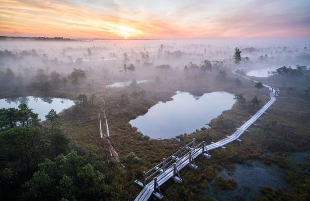 Jurmala and Kemeri National Park Tour with pick-up