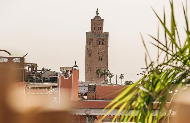 The vibrant of Marrakech 