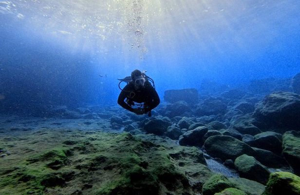 Chania Scuba Diving | Shore Dives | Certified Divers