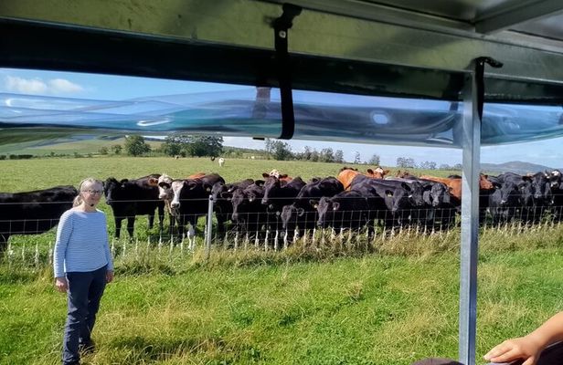 Bairnkine Farm Tour with the Farmer