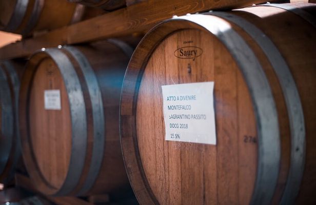 Umbria Mia: Tasting with the Winemaker and Tour of the Cellar.