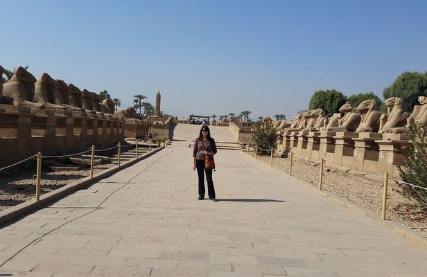 Luxor 1Day Tour Valley of Kings and Queens and Hatshepsut Temples
