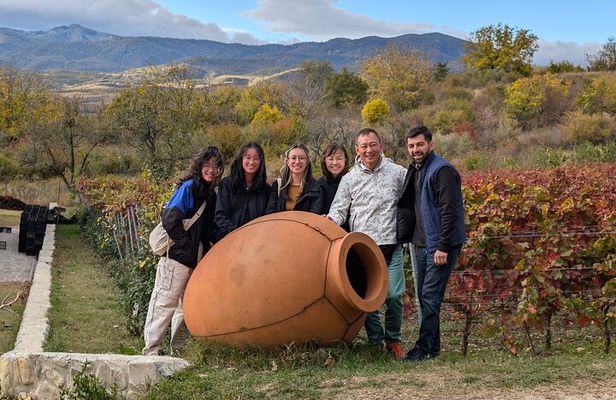 Private Kakheti Tour organic Wine Tasting with Lunch