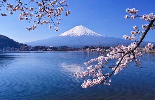 Mt Fuji & Hakone Private Tour from Tokyo & Yokohama