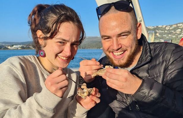 Knysna Oyster Tour