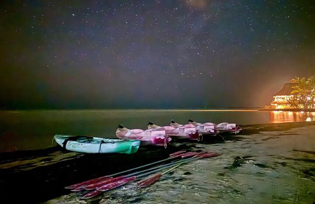 Holbox Kayak Bioluminescence Experience