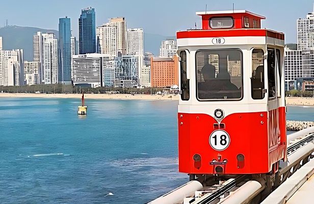 Authentic Busan Full-Day City Highlights Tour