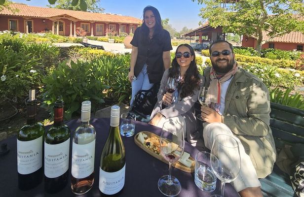 Private Maipo Valley Wine Experience: 2 Premium Wineries & Lunch
