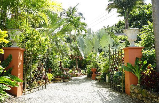 Explore the Enchanted Gardens of Barbados