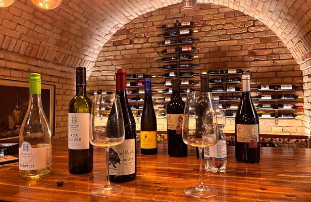 Budapest Wine Tasting and Heritage Experience at Goldcentral