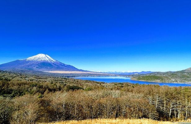 Private Mount Fuji Day Trip from Tokyo by Car