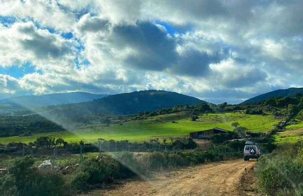 From Tempio Pausania: jeep tour to Mount Limbara
