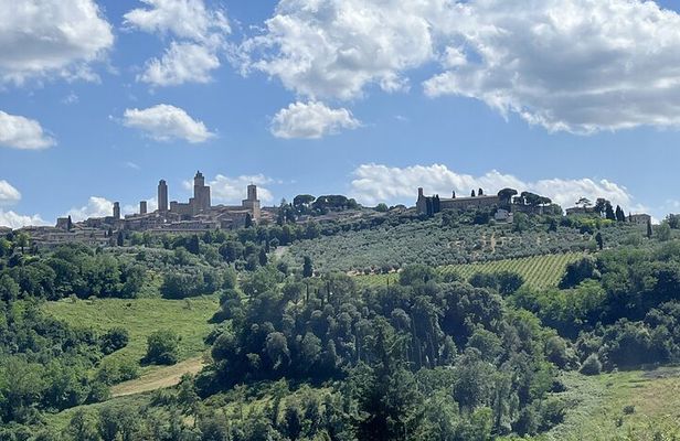 San Gimignano + Lunch&Wine tasting by van from Lucca or Pisa
