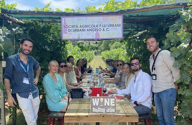 Tuscan Wine Tour in Lucca by van