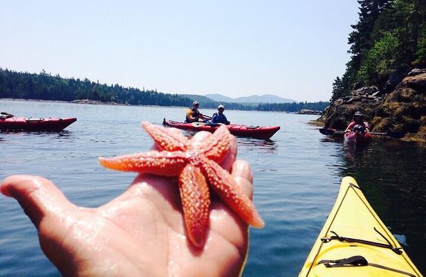 Aqua Safari Kayak tour departing Southwest Harbor