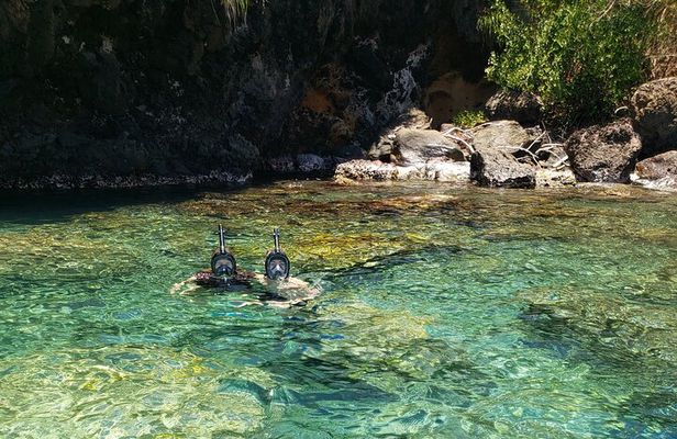 ST. Lucia Snorkeling and Sightseeing Adventure Coastal Beauty