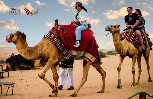 Morning Desert Safari: Dune Bashing, Camel Riding & Sandboarding