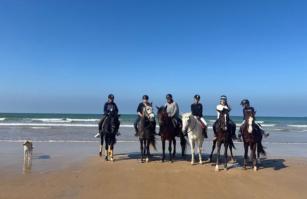 Horseback ride 1 hour between dunes beach and forest in Essaouira