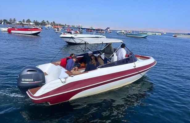 Private Tour Ballestas Islands and White Island from Paracas