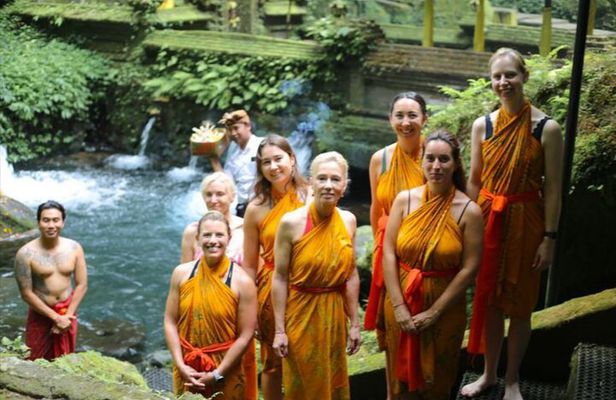 Ubud Highlights Full-Day Tour - Small Group