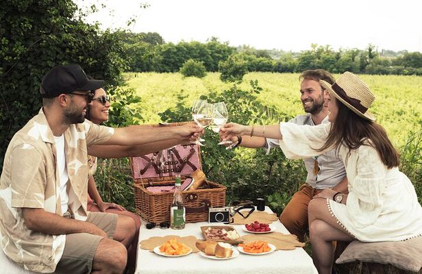 Pic Nic in the Vineyard with wine tasting