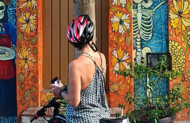 Street Art and Historic City Biking Tour