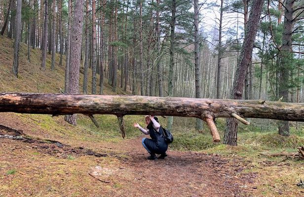 Bushwalking/Hiking adventure from Riga