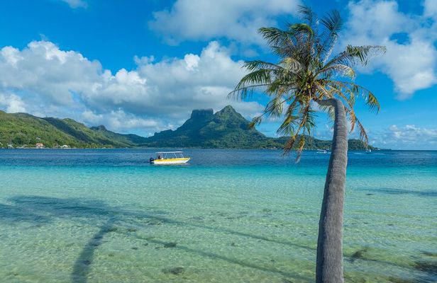 Half a day to discover Bora Bora with O-sea