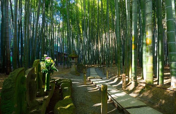 Kamakura Private Tour Great Buddha & Enoshima with English guide