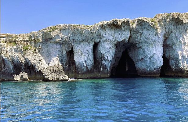 Boat tour with dolphin sighting