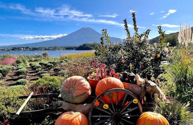 Mount Fuji Full Day Customizable Private Tour with English Guide