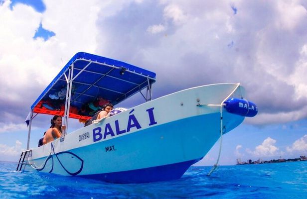 Cozumel 4-Hour Private Trip to Heaven