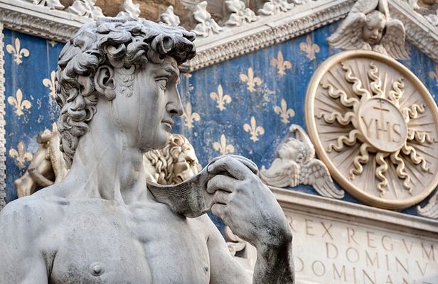 Academia Gallery VIP Private Guided Tour with 5 Star EXPERT
