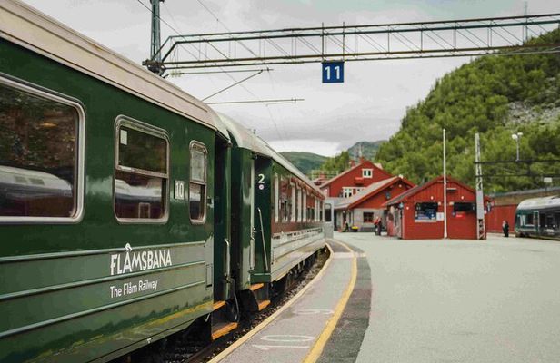 Guided tour to Viking Village, Nærøyfjorden Cruise & Flåm Railway