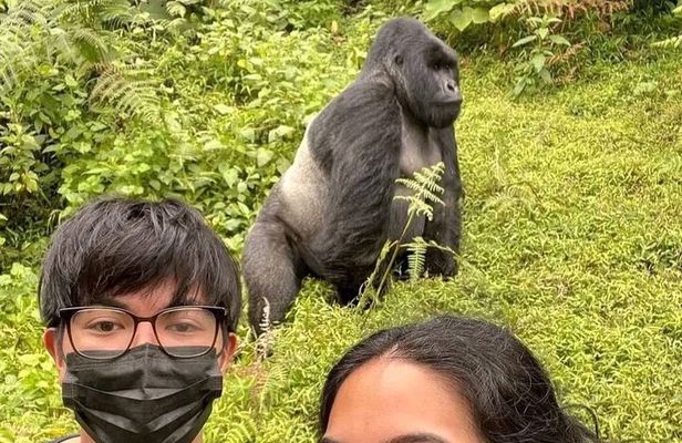 Rwanda One Day Gorilla Trekking with Iby’iwacu Culture Visit