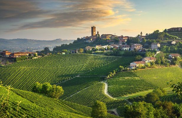 Barolo & Barbaresco Wine Tasting Tour–Alba & Piedmont from Milan