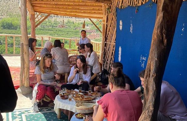 Day Trip to the High Atlas & camel ride
