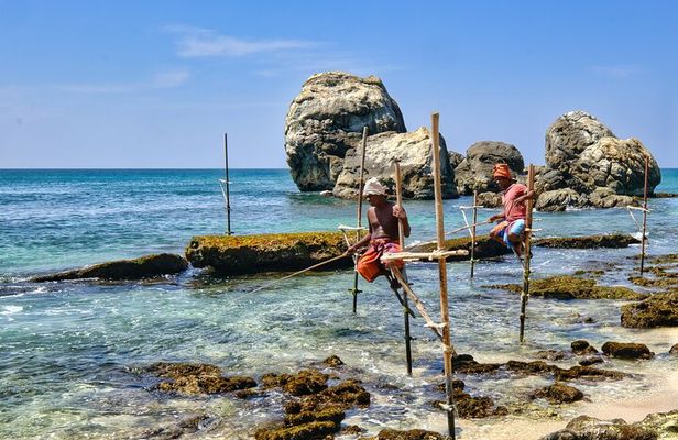 Galle Day Tour with Train Ride from Colombo or Negombo