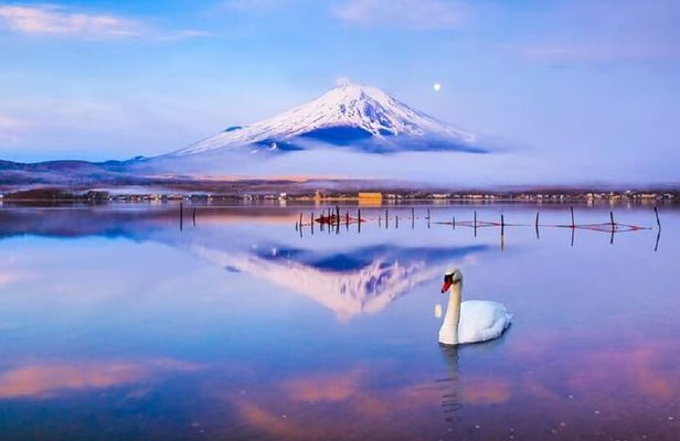 Mt. Fuji to Lake Kawaguchi, Lake Yamanaka and Onsen Day Tour
