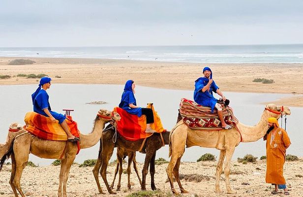 Camel Tour : 2 hours camel ride in Agadir