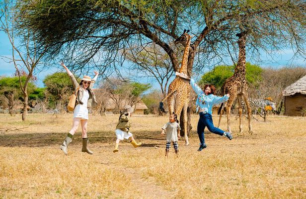 The Great 5-Days Safari Journey