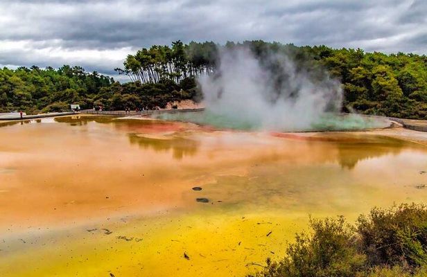 Rotorua to Wai-o-Tapu Thermal Wonderland Shuttle