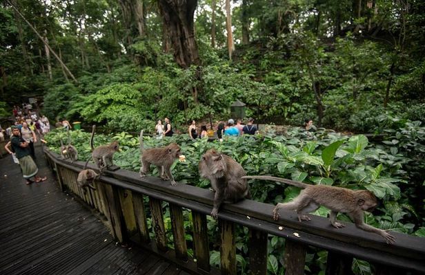 Private Tour of Bali’s Ubud: Culture, Nature & Heritage