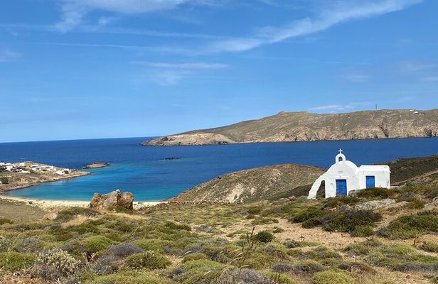 Mykonos Private Half-Day Tour