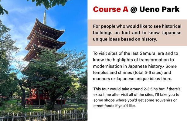 Morning Private tour in Tokyo (Ueno,etc) with a Local Guide