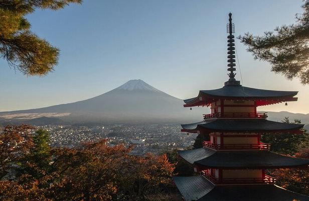 Mt.Fuji Private Day Trip from Tokyo with Driver & Top Photo Spots